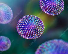 Image result for Contoh Virus Orthomyxoviridae