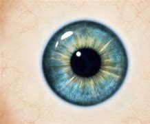 Image result for Eye Texture 4K