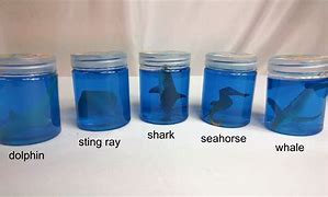 Image result for Sea Life Slime