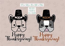 Image result for French Bulldog Thanksgiving