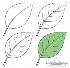 Image result for Draw Leaf