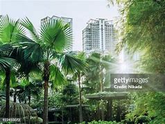 Image result for Makati Sky Plaza