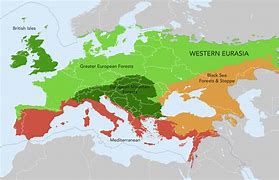 Image result for Western Eurasia Map