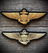 Image result for Pilot Aircrew Wings