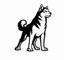 Image result for Husky Dog PFP