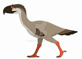 Image result for Titanis Walleri Prehistoric Fauna