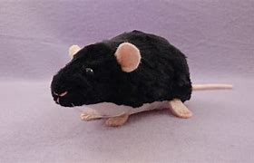 Image result for Rat Plushie Black