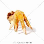 Image result for Chicken Claw Joint Holder