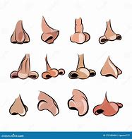 Image result for Cartoon Nose Profile