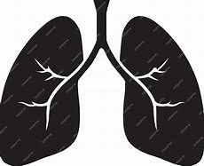 Image result for Lung Health Foundation Logo