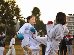 Image result for China Karate