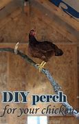 Image result for Building a Chicken Roost