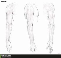 Image result for Hand and Arm Drawing