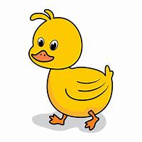 Image result for Duck Anmation