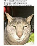 Image result for Muka Kucing Sedih Meme