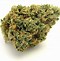 Image result for Kush Marijuana