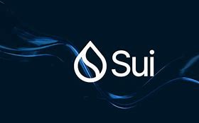 Image result for Sui Logo Black Background