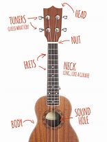 Image result for What Is a Ukulele