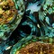 Image result for Giant Clam Attacks