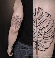 Image result for Planta Monstera Tatuaje