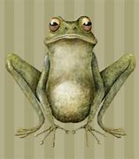 Image result for Frog Front