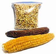 Image result for Corn Dukot