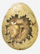 Image result for Cracked Dinosaur Egg