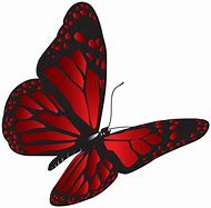 Image result for Red Butterfly Animated