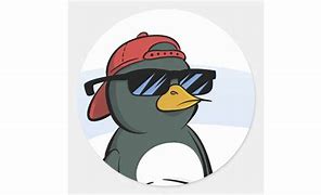 Image result for Penguin PFP Ice