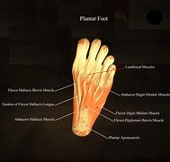 Image result for Thug Plantar