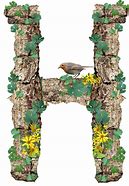 Image result for Rustic Letter H