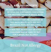 Image result for Brazil Nut Allergy Symptoms