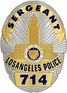 Image result for Dragnet Badge