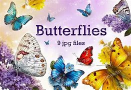 Image result for Butterflies Graphics