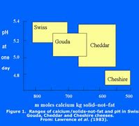 Image result for Cheese Lactose Chart