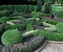 Image result for Landscaping with Boxwood Shrubs