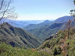 Image result for Sequoia National Park Road Trip