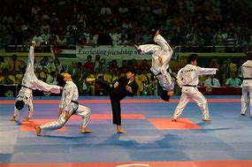 Image result for Taekwondo Tigers