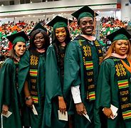 Image result for FAMU Screensavers