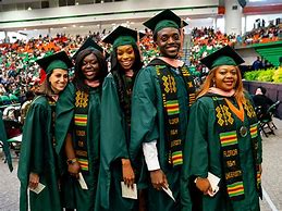 Image result for FAMU College of Science and Technology