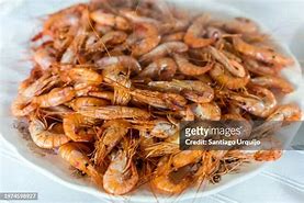 Image result for Shrimp Antennae