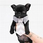 Image result for Snookie the Pug Pug