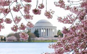 Image result for Have a Great Weekend and Spring Vacation