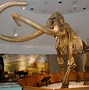 Image result for Dinosaur Tar Pit