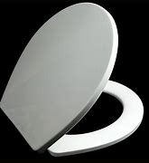 Image result for Toilet Seat Tabs