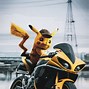 Image result for Real Life Pikachu