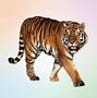 Image result for Spirit Animals for Zodiac Signs