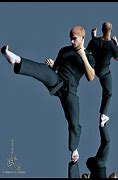 Image result for Front Kick by Mea Geri