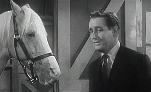 Image result for mister ed quotes