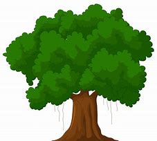 Image result for Tree Pictures Clip Art